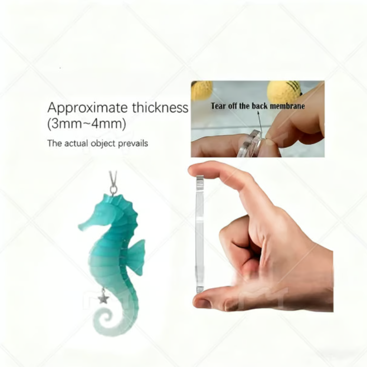 🌊2025 Advent Calendar · Ocean Treasures